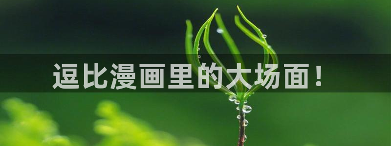 age动漫