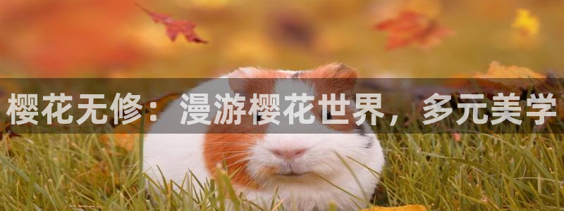 age动漫官网樱花动漫