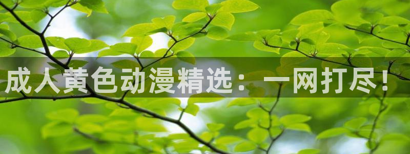 colomanage漫画官网