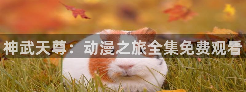 age动漫下载入口：神武天尊：动漫之旅全集免费观看