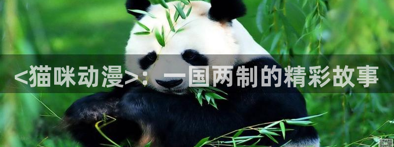 stagenehind韩漫免费观看：<猫咪动漫>：一国两制的精彩故事