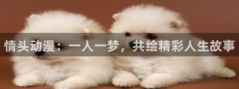 age动漫樱花：情头动漫：一人一梦，共绘精彩人生故事