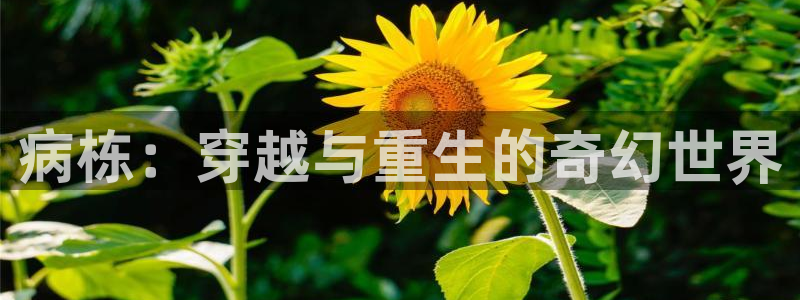 age动漫网：病栋：穿越与重生的奇幻世界
