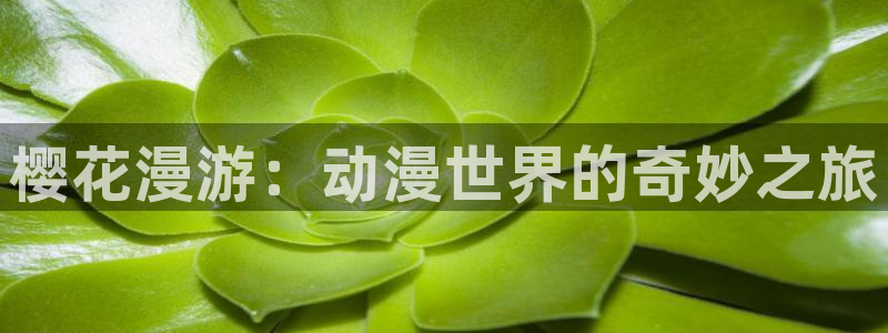 age动漫omofun：樱花漫游：动漫世界的奇妙之旅