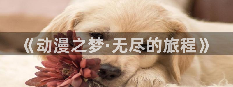 下载age动漫：《动漫之梦·无尽的旅程》