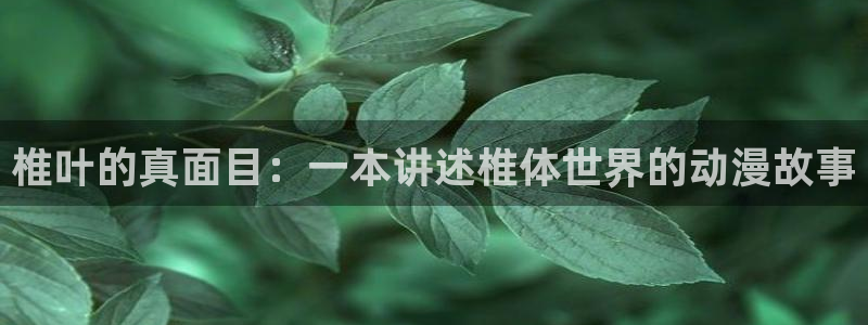 在线动画动漫下载age动漫