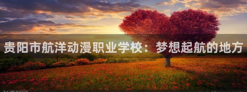 age动漫omofun：贵阳市航洋动漫职业学校：梦想起航的地方