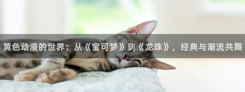 age动漫下载入口：黄色动漫的世界：从《宝可梦》到《龙珠》，经典与潮流共舞