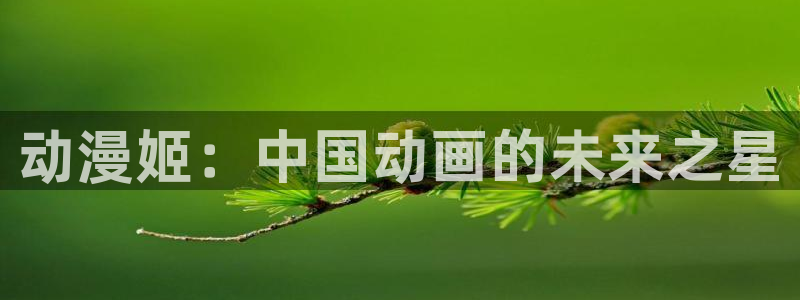 age动漫网上看：动漫姬：中国动画的未来之星