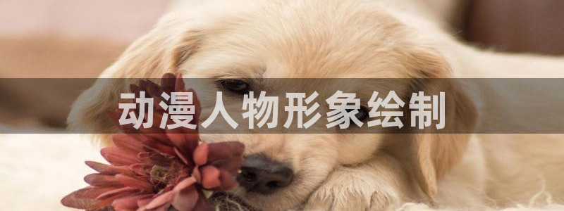 age动漫官网在线入口：动漫人物形象绘制
