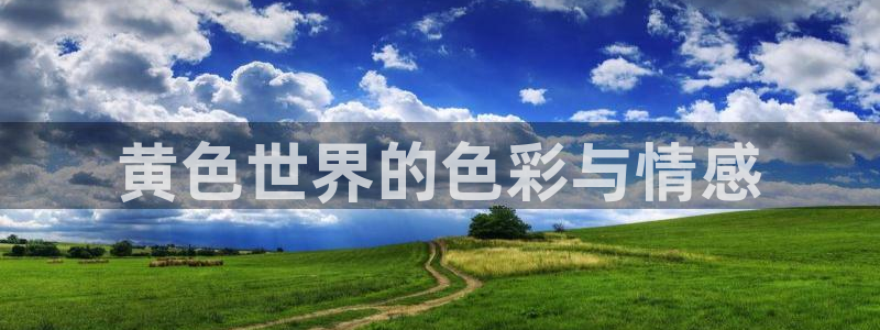 age动漫官网版入口：黄色世界的色彩与情感