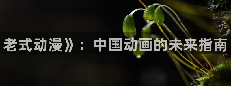 age专注动漫的门户网站：老式动漫》：中国动画的未来指南