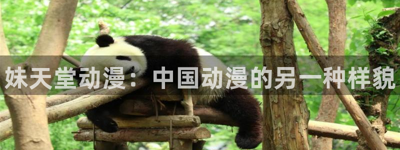 age动漫官网樱花动漫：妹天堂动漫：中国动漫的另一种样貌