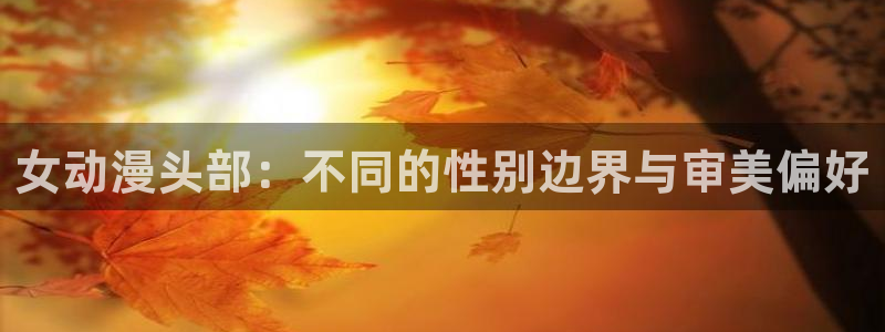 colamanage漫画官网：女动漫头部：不同的性别边界与审美偏好