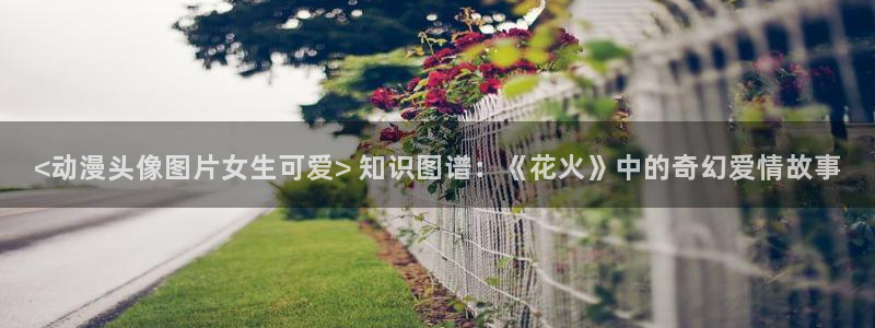 age动漫官网网址：<动漫头像图片女生可爱> 知识图谱：《花火》中的奇幻爱情故事