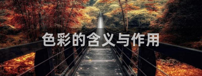 age动漫官网版入口：色彩的含义与作用