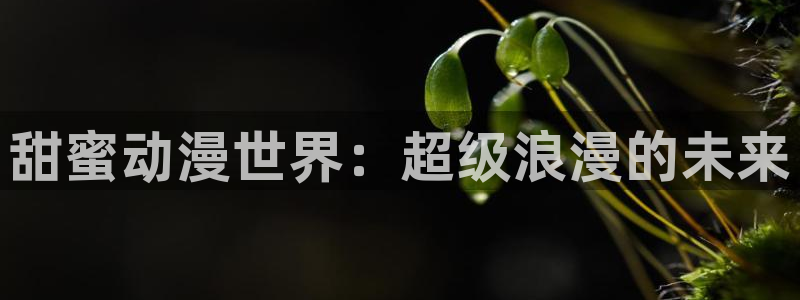 age动漫专注动漫的门户网站：甜蜜动漫世界：超级浪漫的未来