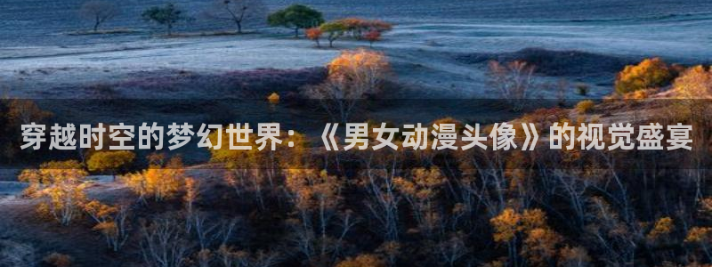 拷贝漫画 copymanager.ory网站：穿越时空的梦幻世界：《男女动漫头像》的视觉盛宴