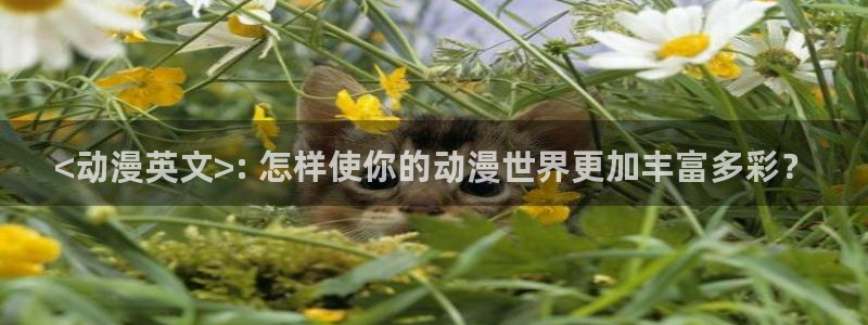 age动漫：<动漫英文>: 怎样使你的动漫世界更加丰富多彩？