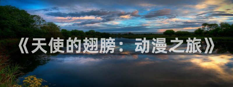 managereader漫画官网入口：《天使的翅膀：动漫之旅》