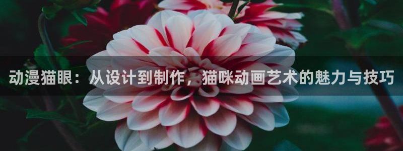 age动漫官网樱花动漫