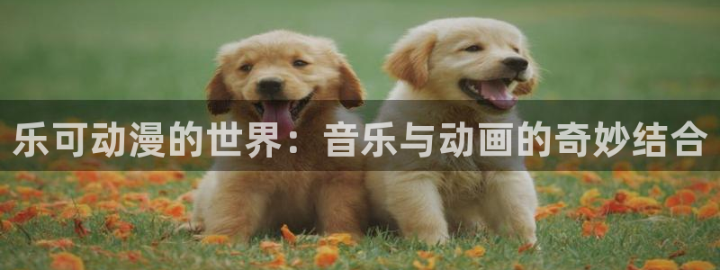 age樱花动漫：乐可动漫的世界：音乐与动画的奇妙结合
