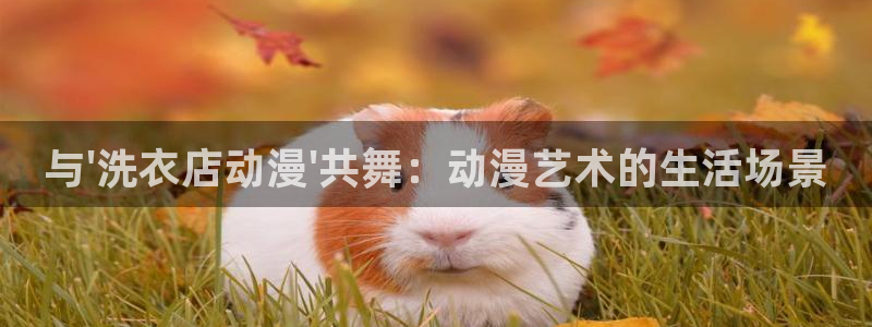 age专注动漫的门户网站：与\'洗衣店动漫\'共舞：动漫艺术的生活场景