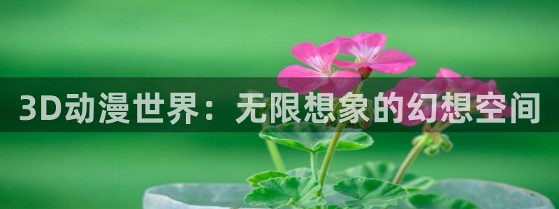 age动漫官网入口老版本：3D动漫世界：无限想象的幻想空间