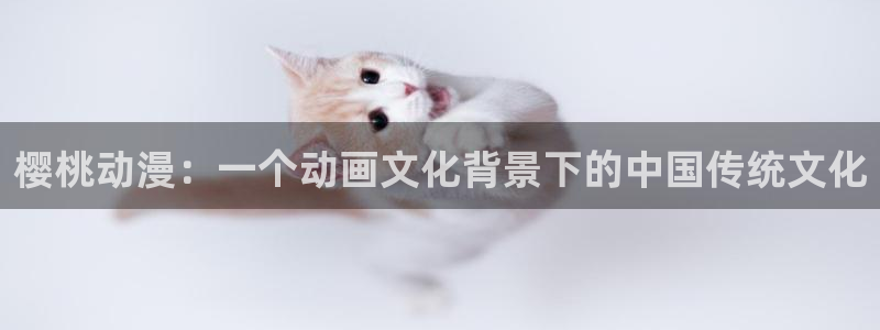age动漫网