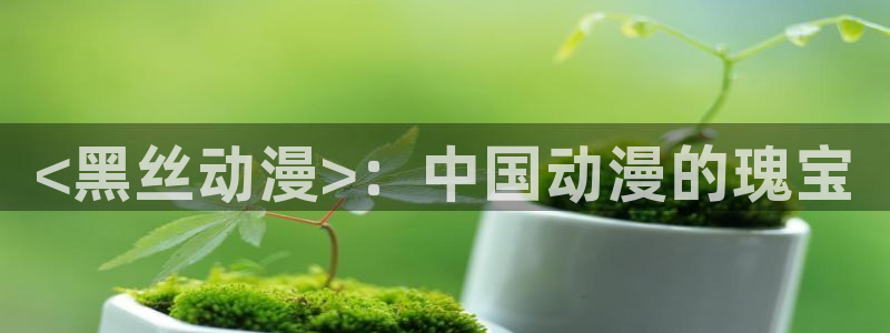 age动漫网上看：<黑丝动漫>：中国动漫的瑰宝